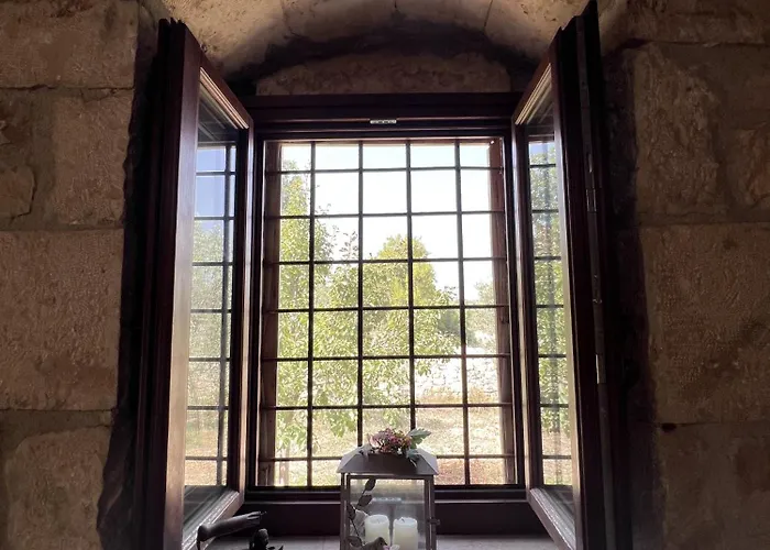 Biancolilla * 莫迪卡